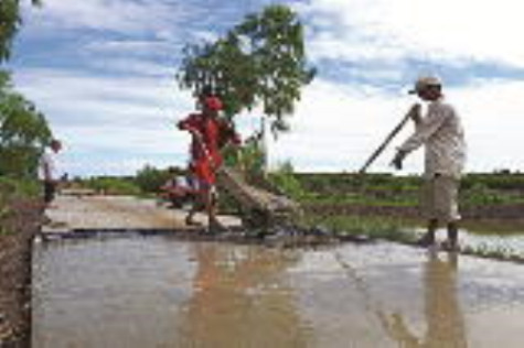 Sức vươn xã bãi ngang