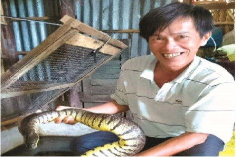 Nông dân năng động làm giàu