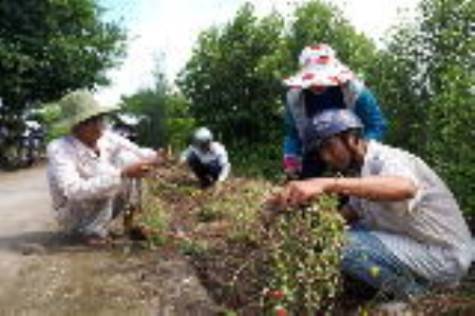 Đổi mới nội dung sinh hoạt chi bộ