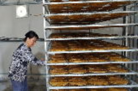 Phát triển làng nghề chuối khô Trần Hợi