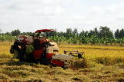 Cần đẩy mạnh đầu tư hạ tầng thuỷ lợi phục vụ sản xuất