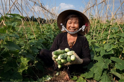 Khi nghị quyết của Đảng sát với cuộc sống