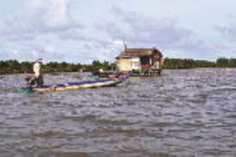 Ngổn ngang đầm Thị Tường