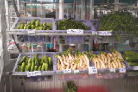 Liên kết chuỗi cung cấp nông sản an toàn