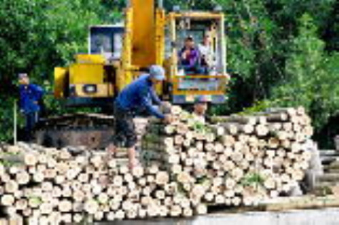 Nỗ lực giảm nghèo