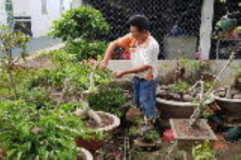 Giải quyết việc làm cho lao động nông thôn