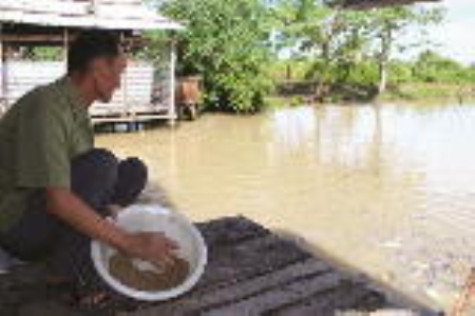 Đất không phụ công người