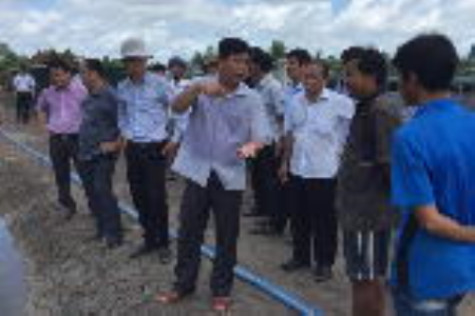 Thắt chặt quản lý nuôi tôm siêu thâm canh
