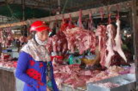 Tăng cường giám sát dịch lở mồm long móng