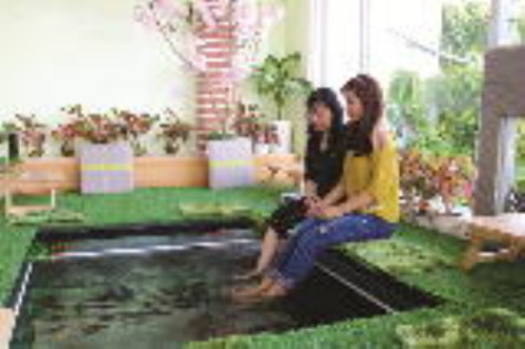 Thư giãn cùng Fish cà phê