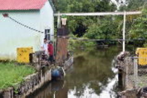 Trạm bơm chống úng có như không!