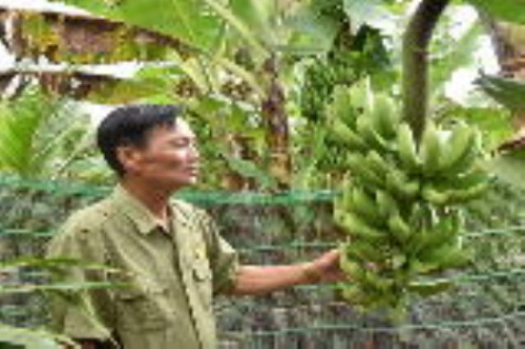 Cùng nhau thoát nghèo