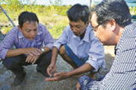 Cần quy hoạch nuôi tôm siêu thâm canh