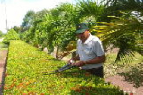 Gương mẫu trong mọi phong trào