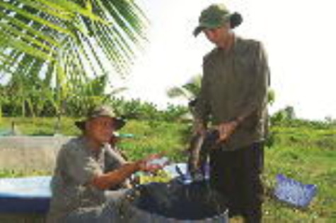 Phát triển nguồn lợi cá đồng