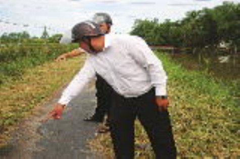 Cách sửa chữa lộ nông thôn hiệu quả