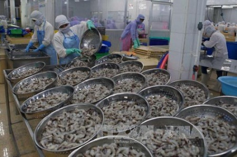 Xuất khẩu thuỷ sản ước đạt 6,73 tỷ USD