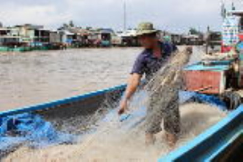 Trăn trở Đất Mũi