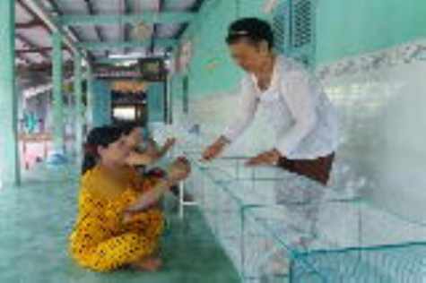 Ổn định thu nhập từ kinh tế phụ