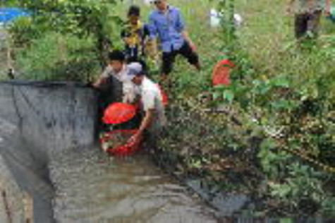 Tăng tốc cuối năm