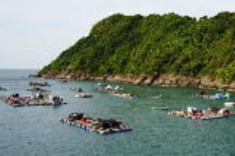 Sông Đốc được công nhận thị trấn đảo