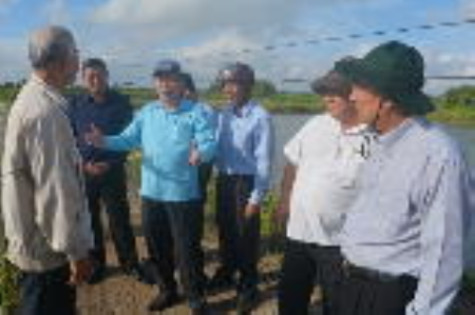 Phát triển tôm siêu thâm canh phải mang tính bền vững