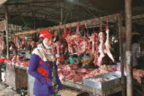 Nguy cơ tái bùng phát dịch bệnh trên gia súc, gia cầm