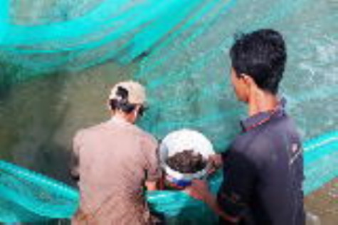 Về ấp “xoá trắng hộ nghèo”