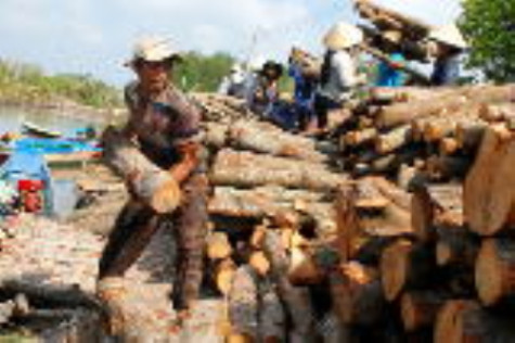 Sẽ lấy rừng kinh tế "đổi" cho người dân khu vực rừng phòng hộ rất xung yếu