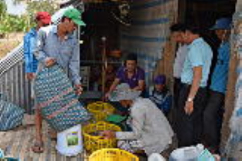 Tạo chuỗi liên kết giữa nông dân với doanh nghiệp