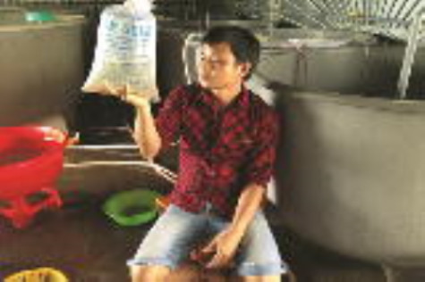 Lấy chất lượng con giống làm “thương hiệu”