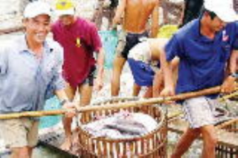 Xuất khẩu thuỷ sản 11 tháng đạt gần 7,5 tỷ USD