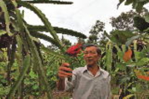 "Việc gì có lợi cho dân thì làm"