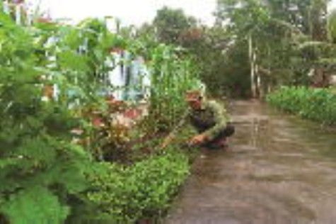 Noi gương Bác để thoát nghèo