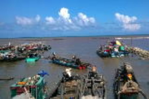Bấp bênh nghề đi bạn
