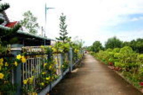 Chung tay gìn giữ lộ giao thông