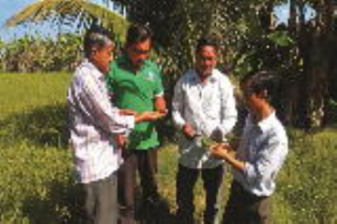 Niềm vui từ cánh đồng lớn