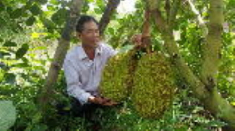 Vượt chỉ tiêu thu nhập bình quân đầu người