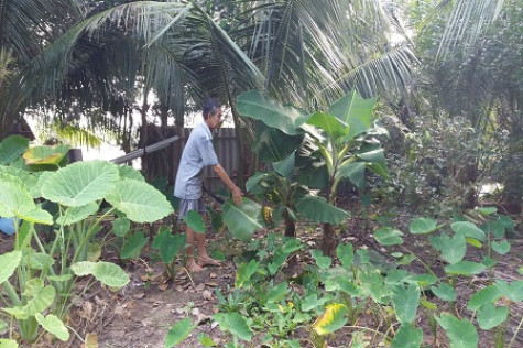 Phát triển kinh tế theo hướng bền vững