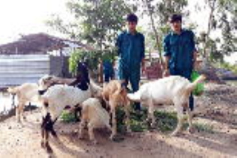 Hiệu quả phong trào thi đua quyết thắng