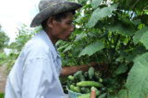 Học Bác giúp dân giảm nghèo