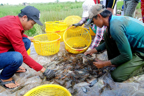 Ấp Lê Giáo chuyển mình