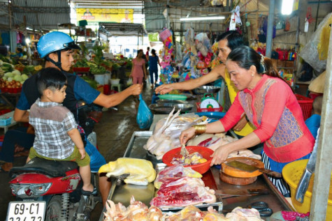 Tăng cường quản lý gia súc, gia cầm nhập tỉnh