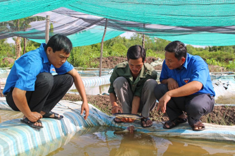 Tuổi trẻ Trần Thới làm theo gương Bác