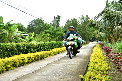 Chuyển biến từ Nghị quyết 08