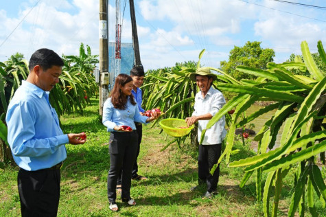 Nữ bí thư trẻ năng động