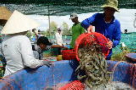 Thực hiện đúng, đủ và kịp thời các chính sách cho người được thụ hưởng