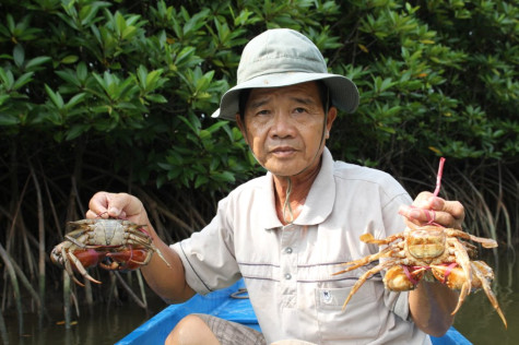 Cua sinh thái lên ngôi