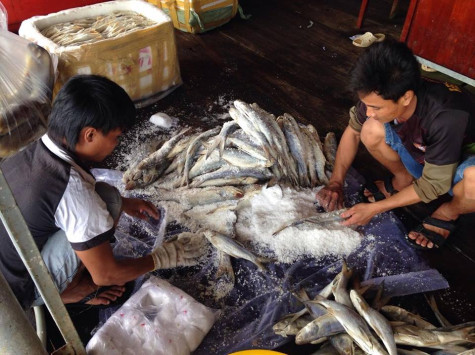 Khởi sắc Tân Ân