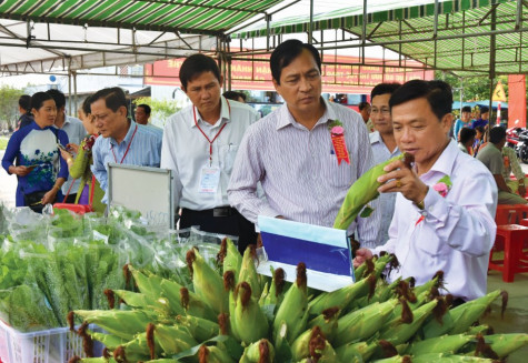 Tạo thế vững chắc để phát triển
